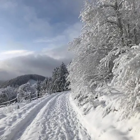 In Kuestelberg Near Slope, Cleaning Included *